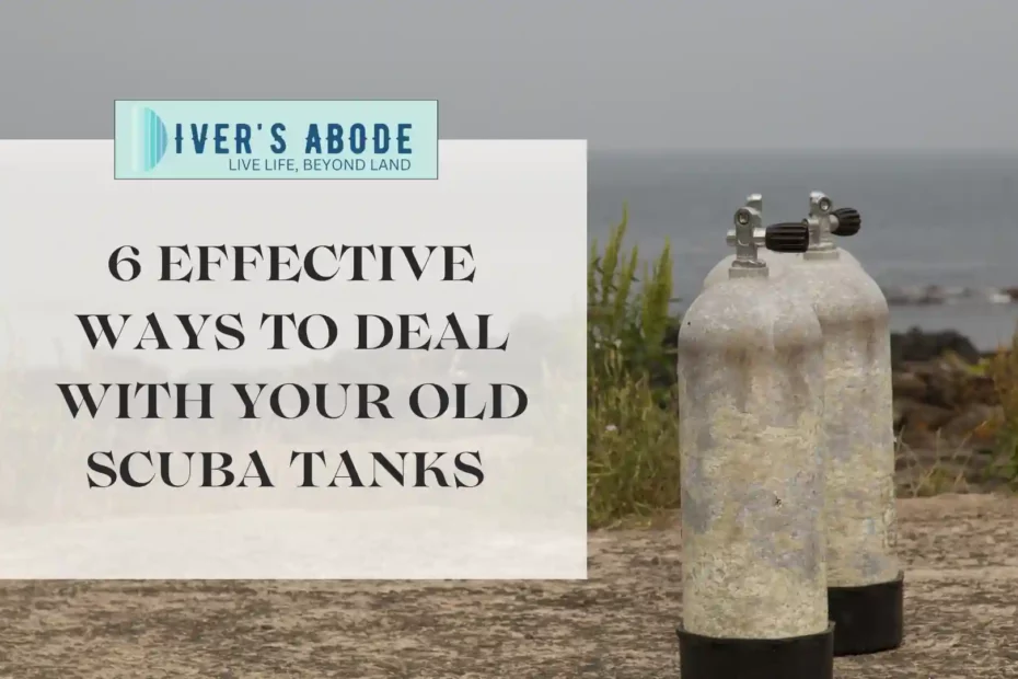 6 Effective Ways To Deal With Your Old Scuba Tanks (And Make Some Money ...