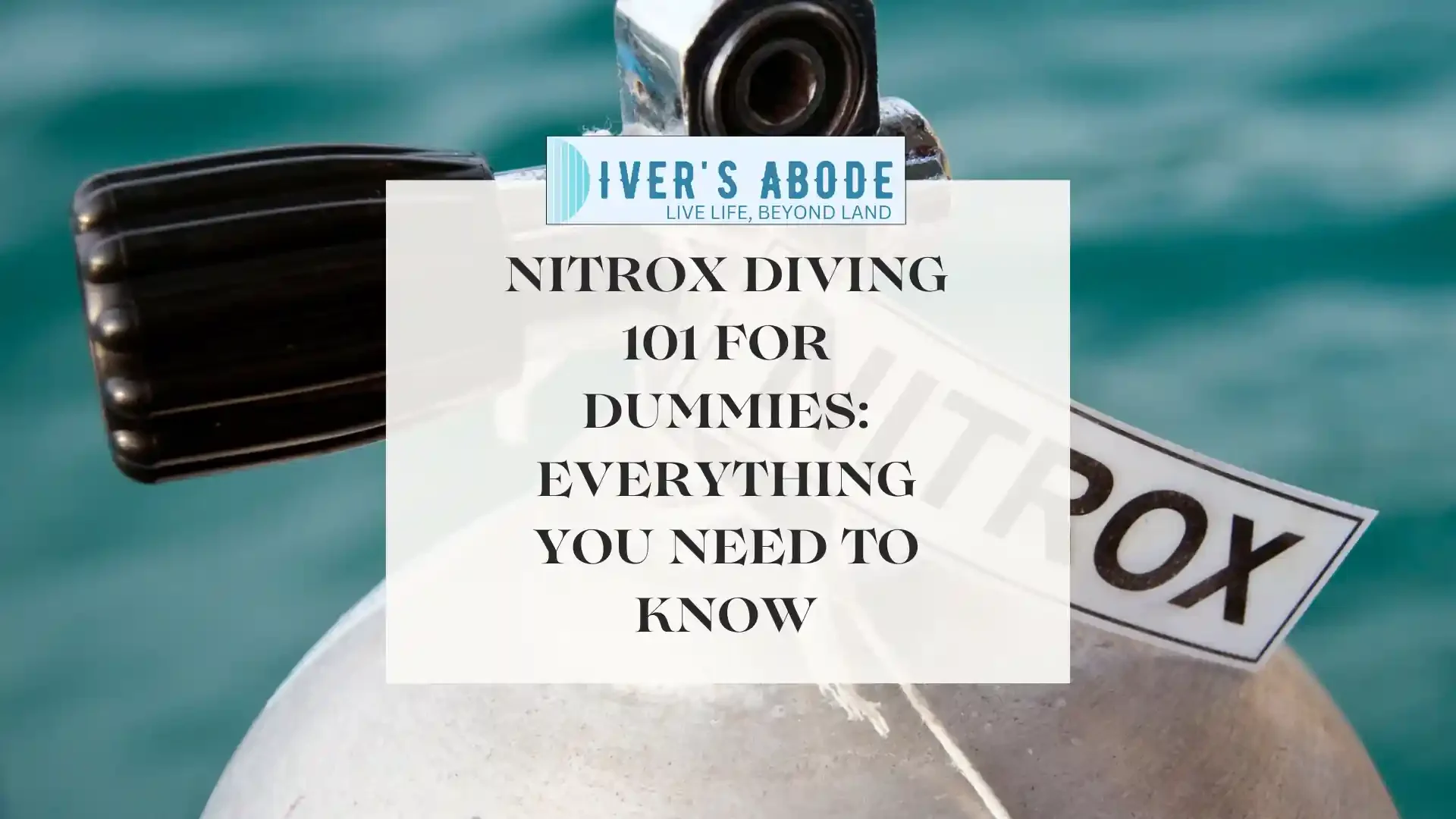 Nitrox Diving 101: Everything You Need to Know