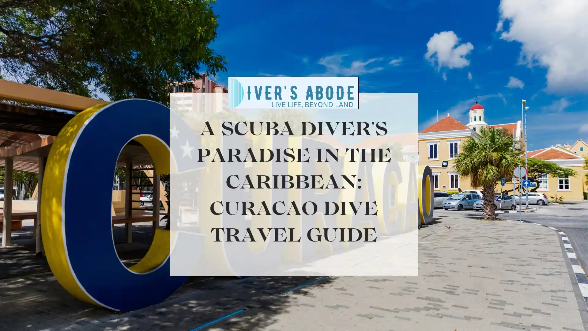 A Scuba Diver's Paradise In The Caribbean: Curacao Dive Travel Guide